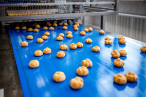 Gıda Konveyör Bantları