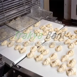 Gıda Konveyör Bant