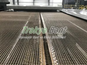 Fikse kurutma bandı