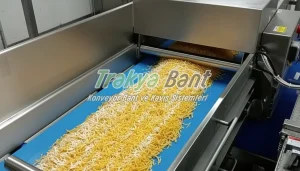 Mavi PU Konveyor örneği