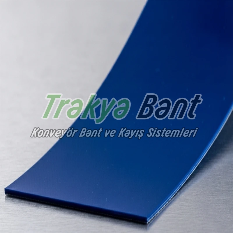 Poliüretan Konveyör Bant Örneği