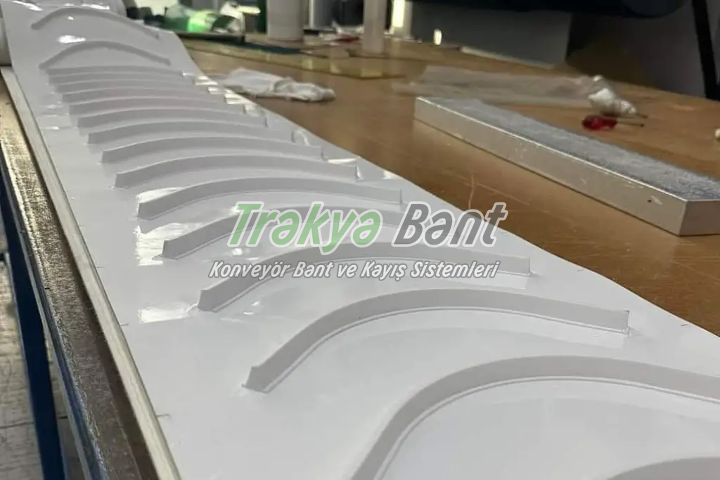 Zeytin seçme taşıma bandı