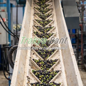 Zeytin Seçme Bandı