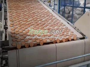 Gıda üretim hattında pamuklu bantlı konveyör sistemi.