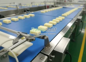gıda konveyör bandı ile otomatik üretim süreci