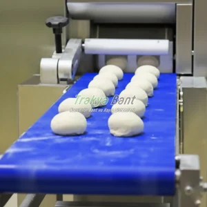 Gıdaya uygun mavi konveyör bant