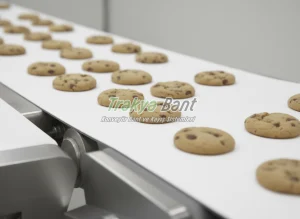 Gıdaya uygun beyaz konveyör bant üzerinde taşınan kurabiyeler